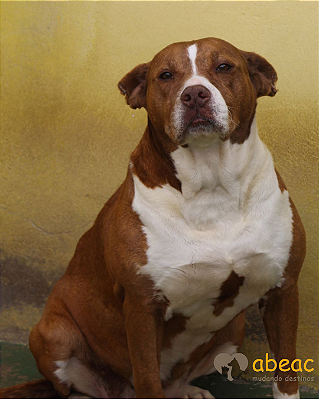 Madona-Sr. Claudio - 12 anos