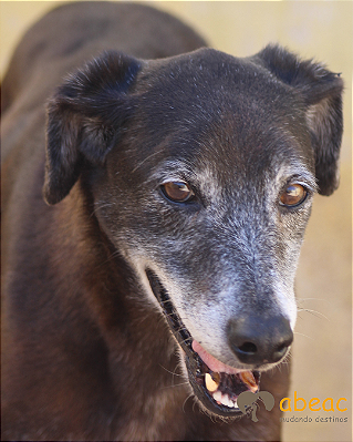 Max-Magali - 13 anos