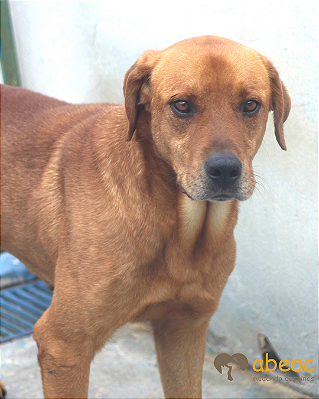 Max-Caucaia - 09 anos