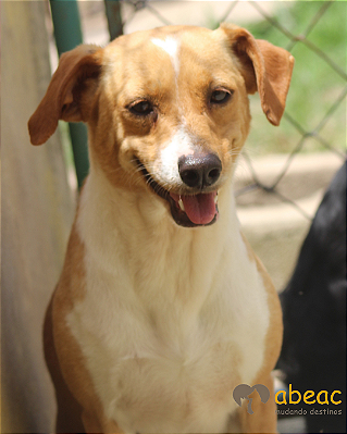 Meg-Camila - 04 anos