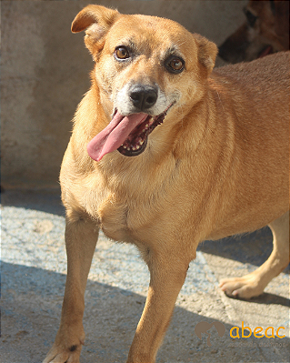 Mel-Barra Funda - 11 anos