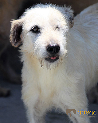 Nino-Caucaia - 14 anos