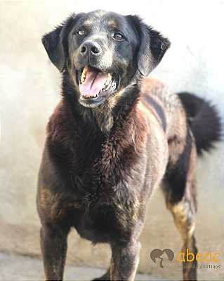Robin-Vitória - 11 anos