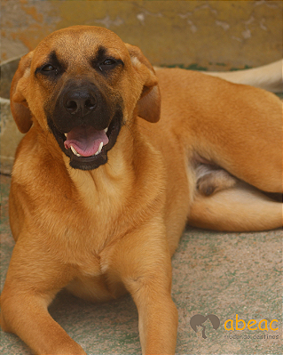 Romeu-Aurora - 04 anos