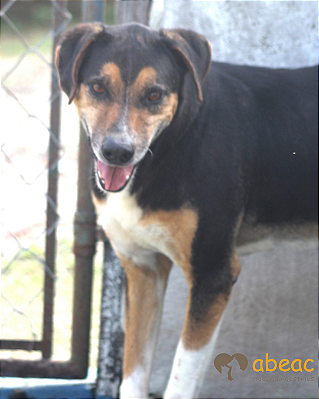 Rua-Caucaia - 09 anos