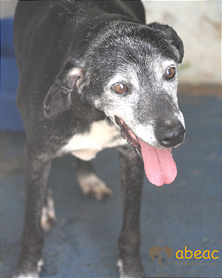 Samantha-Alice - 15 anos