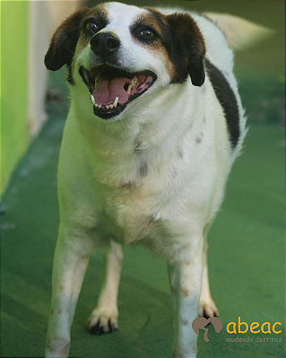 Serena-Parelheiros - 10 anos