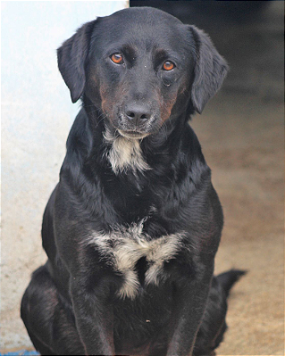 Soraya-Caucaia - 09 anos