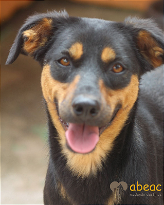 Suellen-Mel - 09 anos