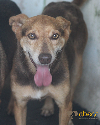 Taik-Wanderléia - 08 Anos