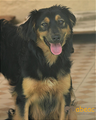 Yuri-Balsa - 05 anos