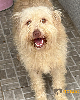 Amora-Mairiporã - 04 anos