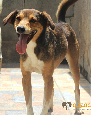 Billy-Fiona - 04 anos