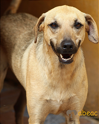 Dolly-Vicky -11 anos