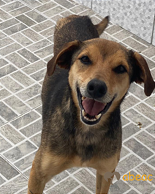 Freddy-Fiona - 04 anos