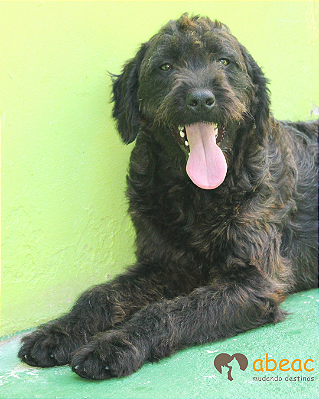 Freddy-Caucaia - 03 anos