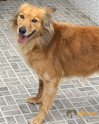 Greg-Mairiporã - 05 anos