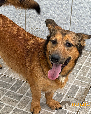 Greta-Caucaia - 05 anos