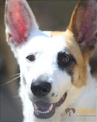 Poly-Caucaia - 05 anos