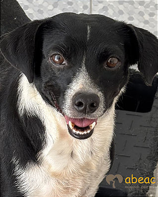 Diana-Embu - 07 anos