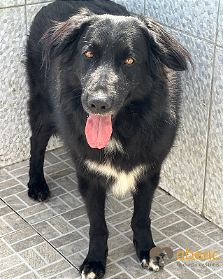 Eros-Mairiporã - 04 anos