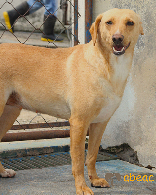 Gina-Caucaia - 06 anos