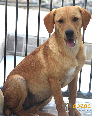 Jully-Joana - 03 anos