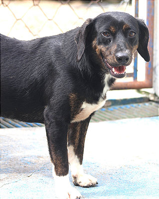 Lilly-Caucaia - 04 anos