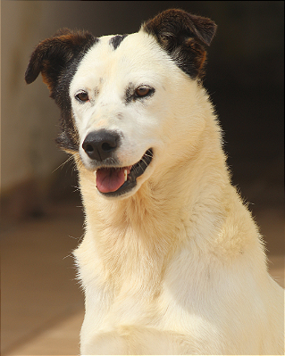 Luna-Caucaia - 05 anos