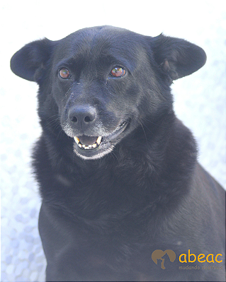 Marina-300 Anjos - 08 anos