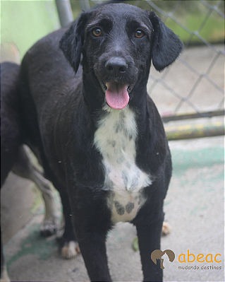 Miguel-Caucaia - 02 anos