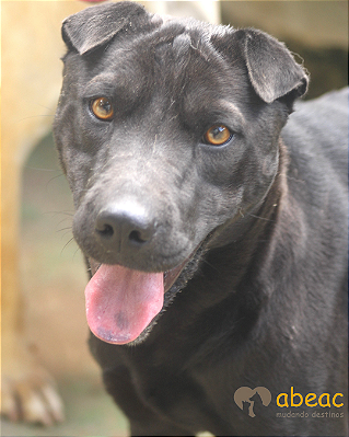 Ohana-Caucaia - 07 anos