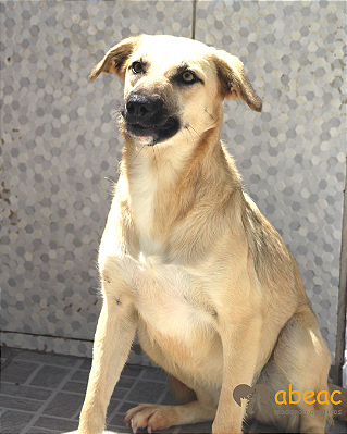 Paloma-Caucaia - 02 anos