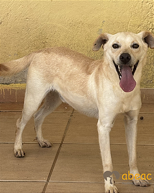 Zeca-Caucaia - 03 anos