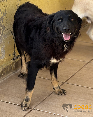 Yan-Caucaia - 03 anos