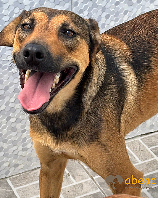 Ramona-Sasha - 03 anos