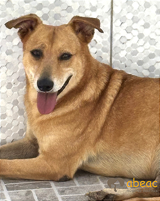 Rebeca-Aurora - 05 anos