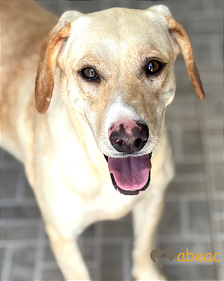 Tina-Joana - 03 anos