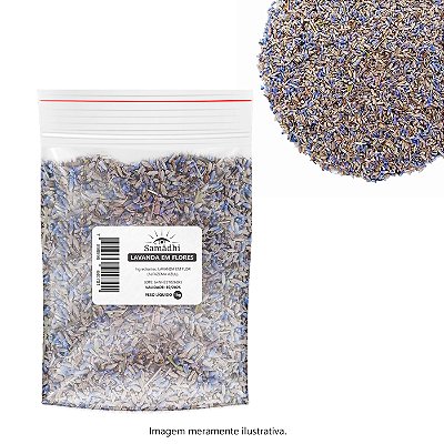 Lavanda Em Flores (Alfazema Azul) Samādhi Premium - Pacotes