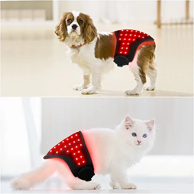 Cinto de Terapia LED para Pets: Alívio de Dores e Recuperação para Cães e Gatos (660nm + 850nm)