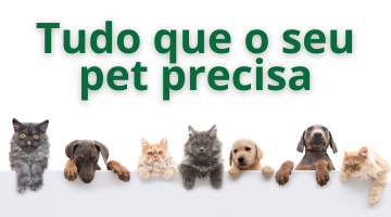 Tudo o que