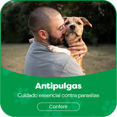 antipulgas