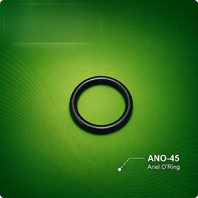 Anel O'ring da Câmara Ejetora IMP