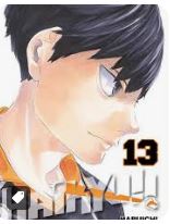 MANGÁ - HAIKYU - VOL: 13