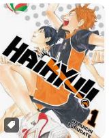 MANGÁ - HAIKYU - VOL: 01