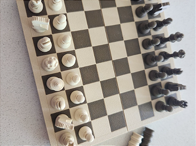 Chess - magnetic mini travel set