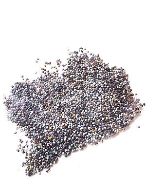 Sementes Papaver somniferum