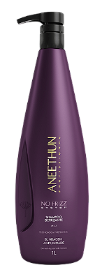 Aneethun No Frizz System Shampoo Defrizante Blindagem Antiumidade 1 L