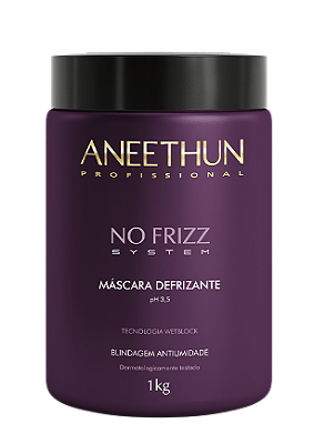 Aneethun No Frizz System Máscara Defrizante Blindagem Antiumidade 1 Kg