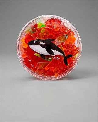 IMÃ - Orca - Nádia Alonso